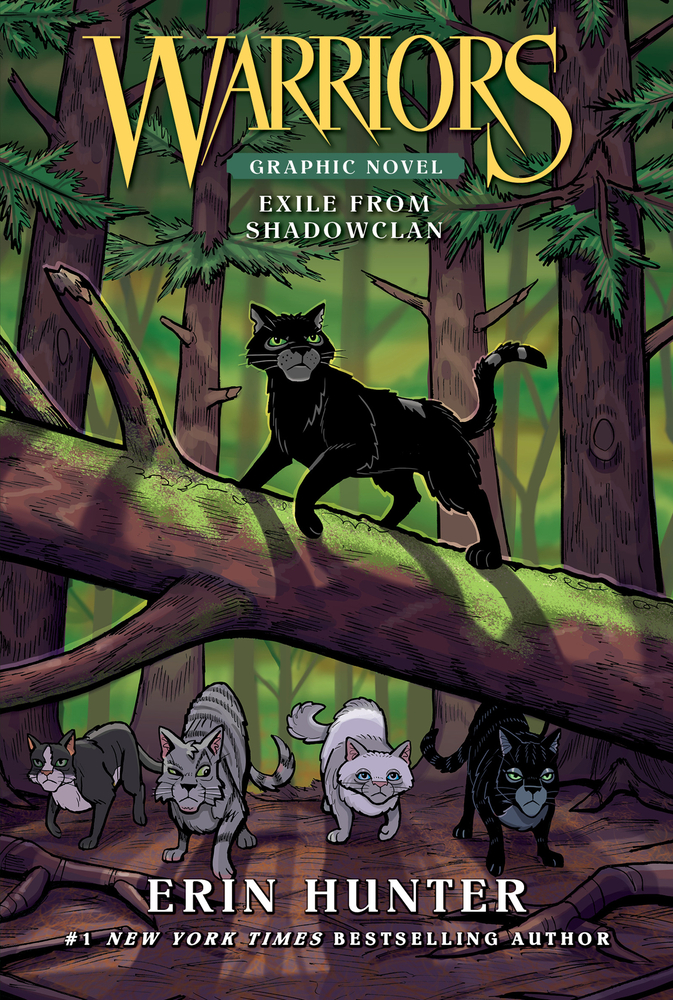 Warriors: A Vision of Shadows: Darkest Night cover