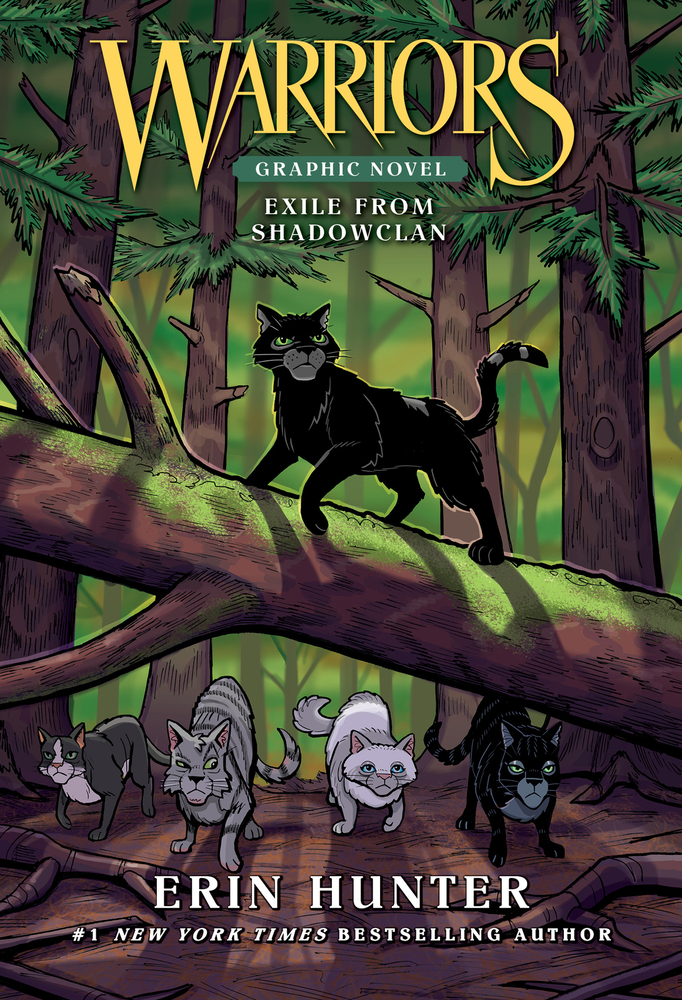 Warriors: A Vision of Shadows: Darkest Night cover