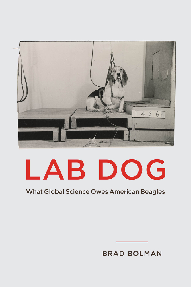 Lab Dog: What Global Science Owes American Beagles cover