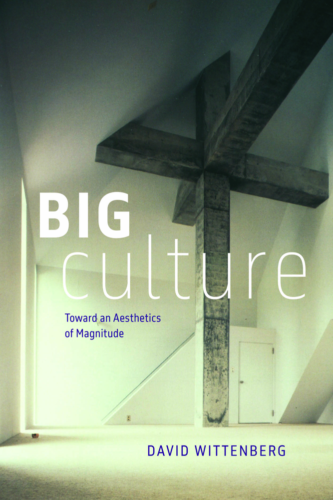 Big Culture: Toward an Aesthetics of Magnitude cover