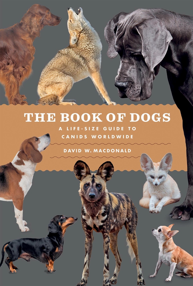 The Book of Dogs: A Life-Size Guide to Canids Worldwide cover