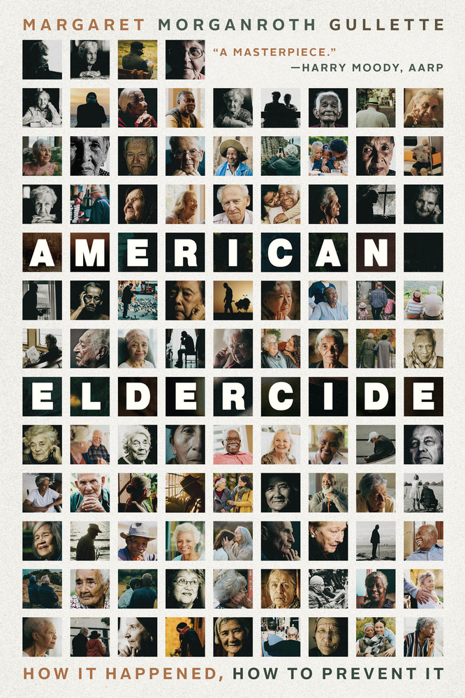 American Eldercide: How It Happened, How to Prevent It cover