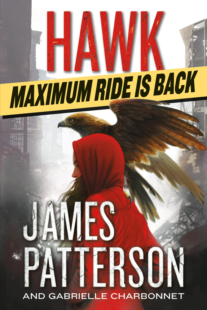 Hawk cover
