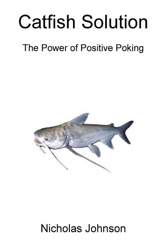 Catfish Solution The Power of Positive Poking cover