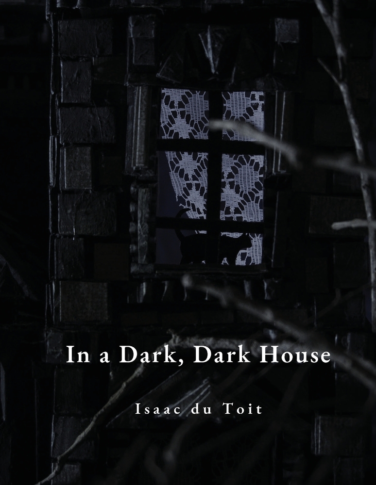 In a Dark, Dark House cover
