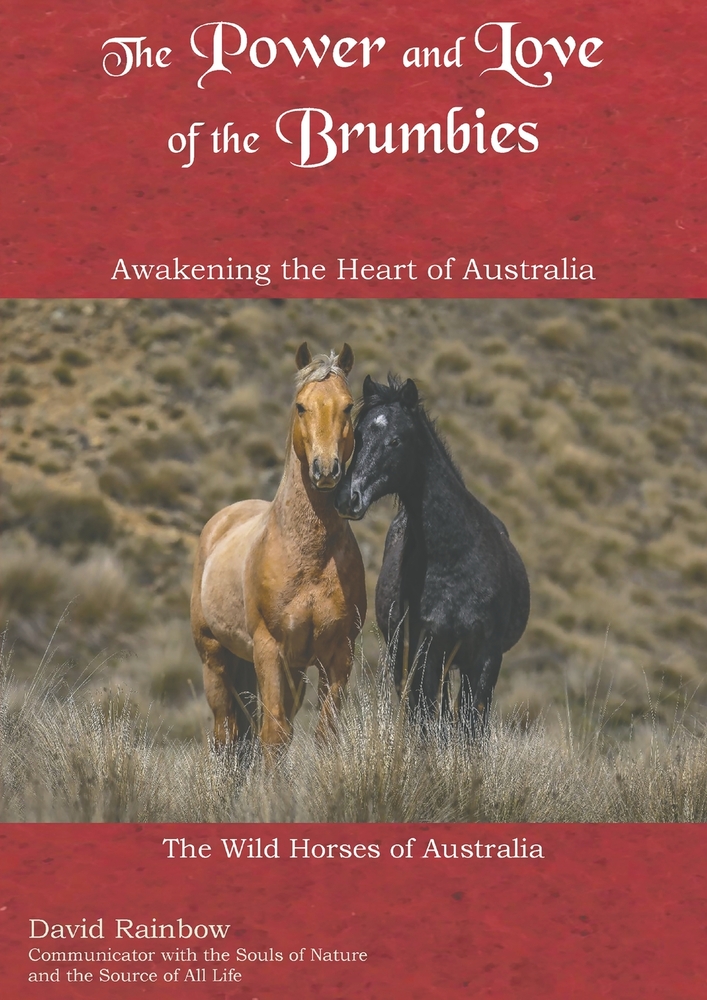 The Power and Love of the Brumbies: Awakening the Heart of Australia cover