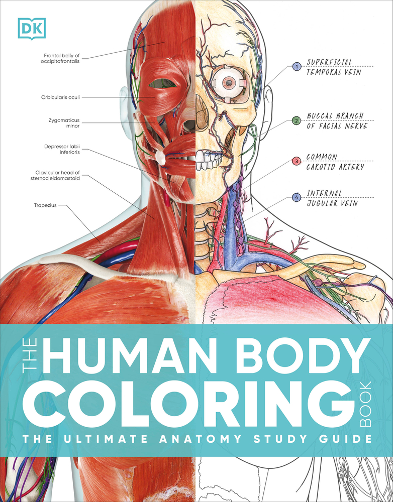 The Human Body Coloring Book: The Ultimate Anatomy Study Guide, Second Edition cover