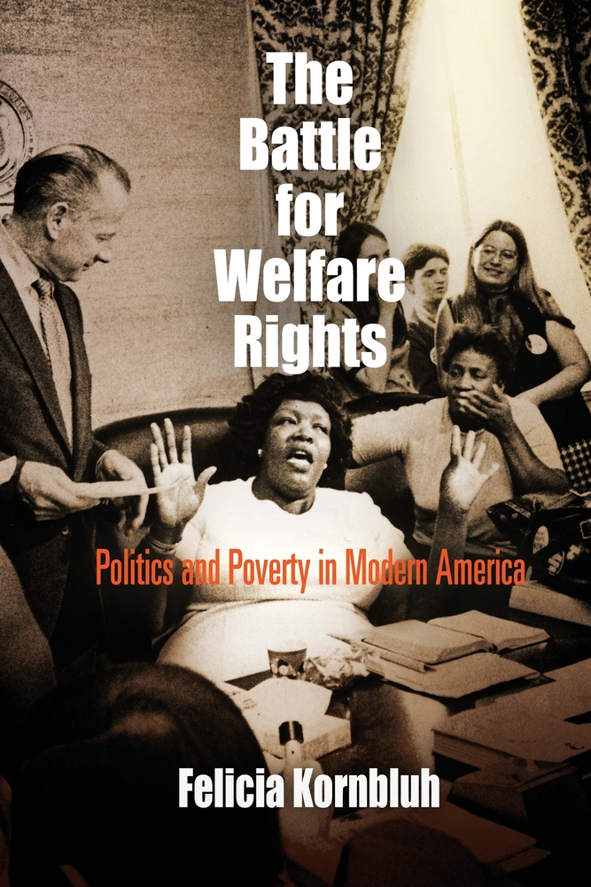 The Battle for Welfare Rights: Politics and Poverty in Modern America cover