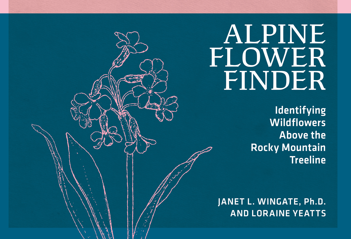 Alpine Flower Finder: Identifying Wildflowers Above the Rocky Mountain Treeline cover