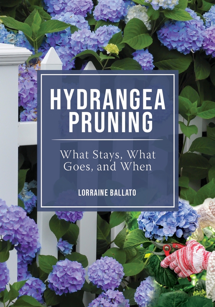 Hydrangea Pruning: What Stays, What Goes, and When cover
