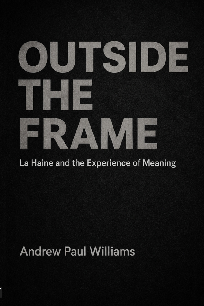 Outside the Frame: La Haine and the Experience of Meaning cover