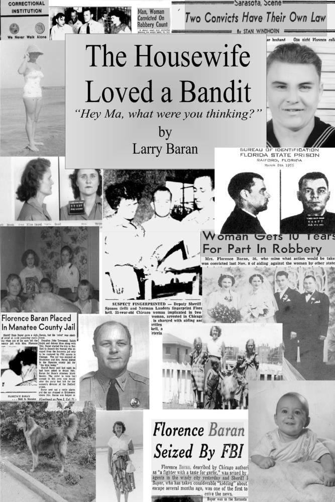 The Housewife Loved a Bandit: Hey Ma, What Were You Thinking? cover