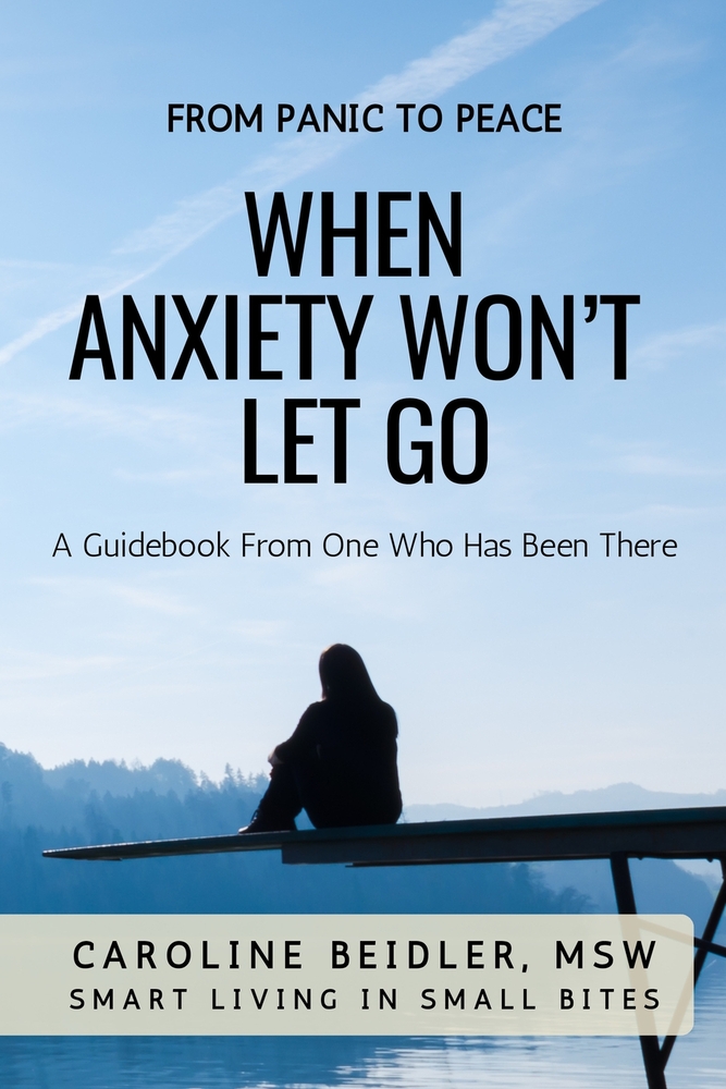 When Anxiety Won't Let Go: Smart Living in Small Bites cover