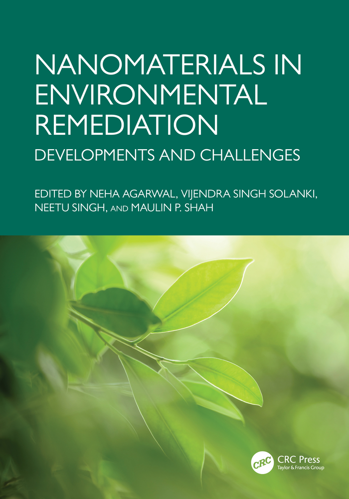 Nanomaterials in Environmental Remediation: Developments and Challenges cover