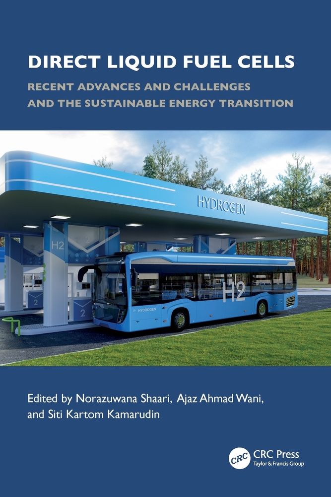 Direct Liquid Fuel Cells: Recent Advances and Challenges and the Sustainable Energy Transition cover
