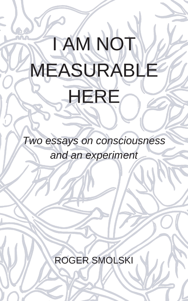 I Am Not Measurable Here: Two essays on consciousness and an experiment cover