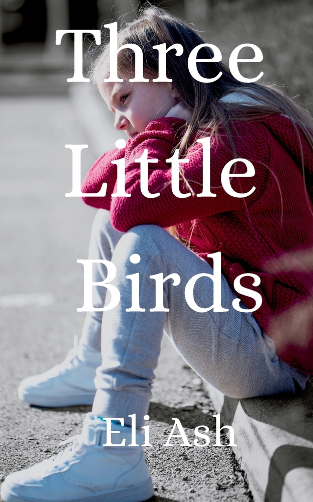 Three Little Birds - The Last Twelve Months in Foster Care cover