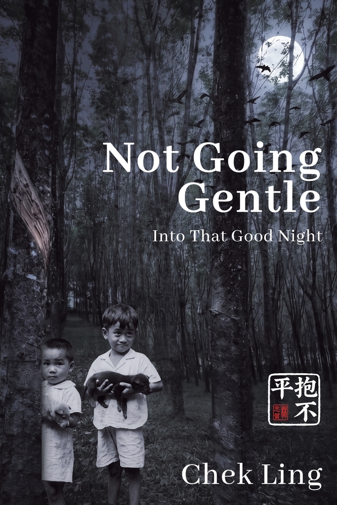 Not Going Gentle cover