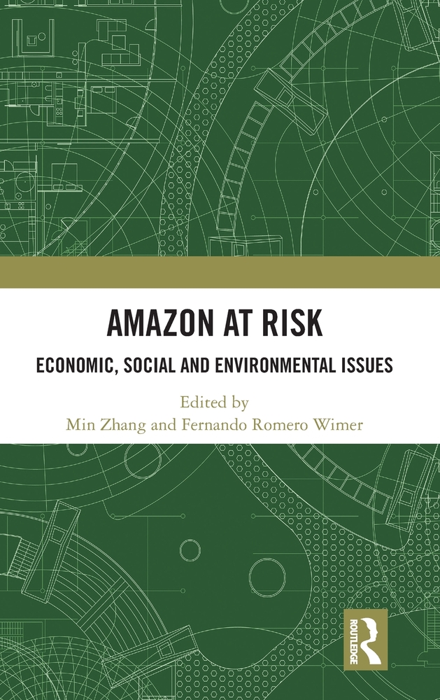 Amazon at Risk: Economic, Social and Environmental Issues cover
