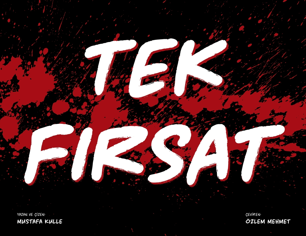 Tek Fırsat cover