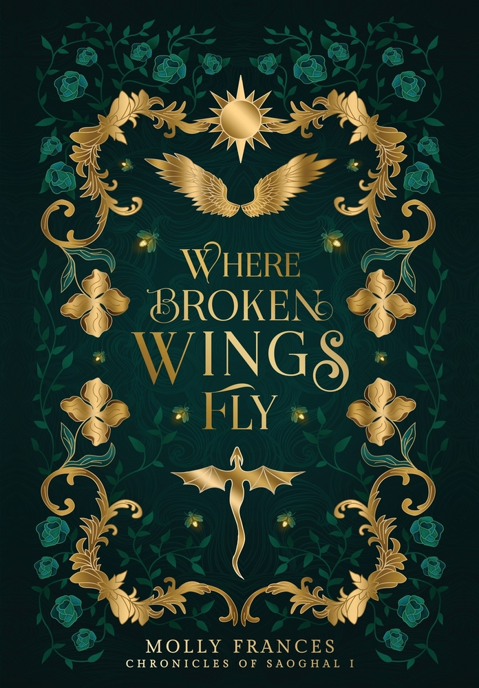 Where Broken Wings Fly cover