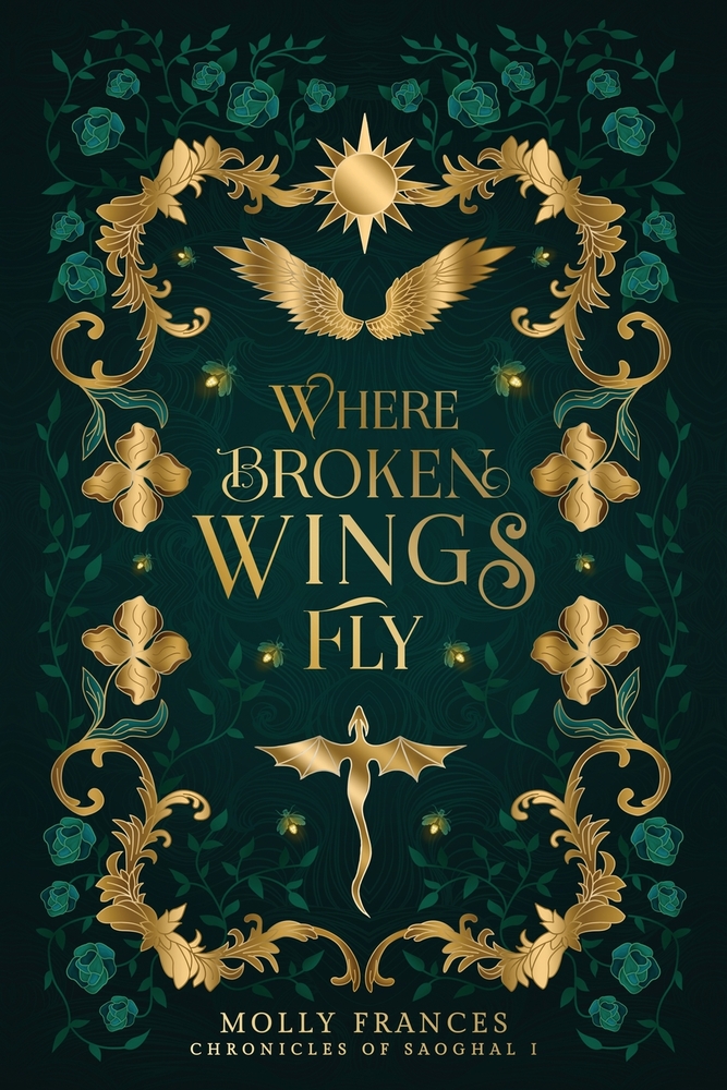 Where Broken Wings Fly cover