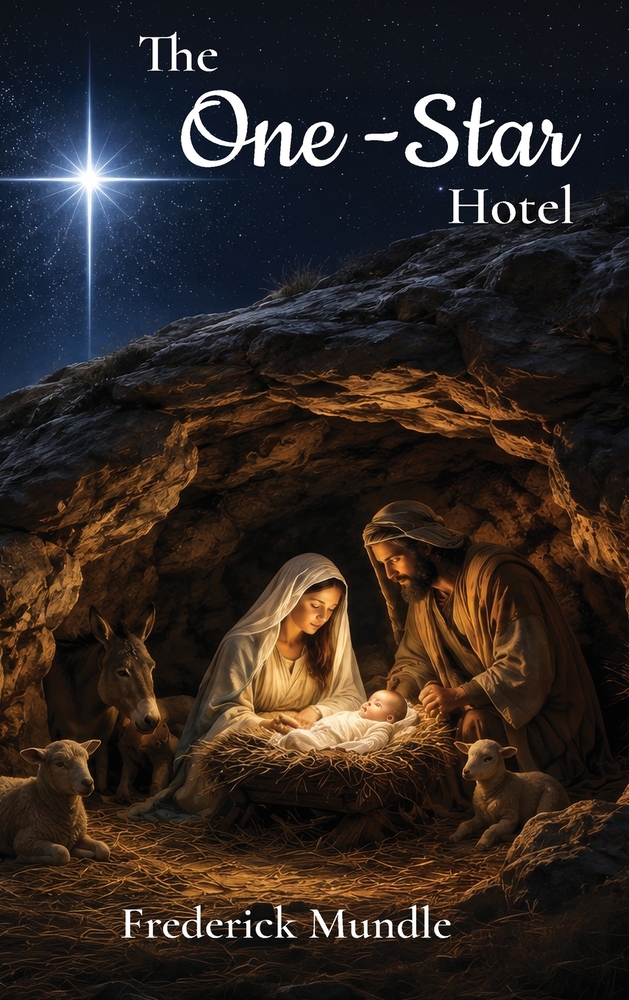 The One-Star Hotel cover