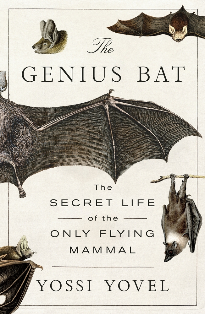 The Genius Bat: The Secret Life of the Only Flying Mammal cover
