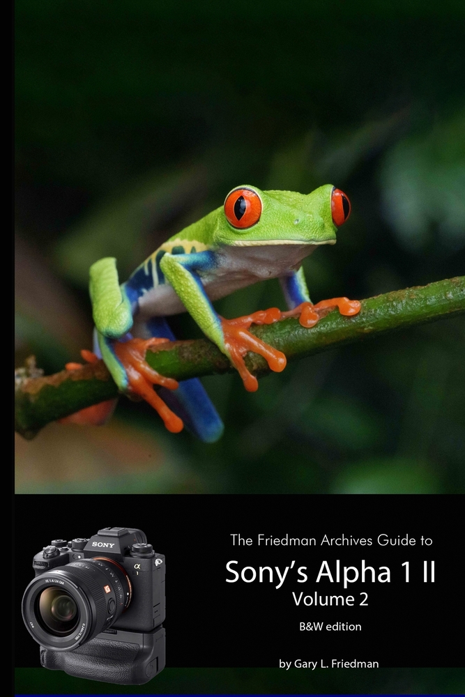 The Friedman Archives Guide to Sony's A1 II - Volume 2 (B&W Edition) cover