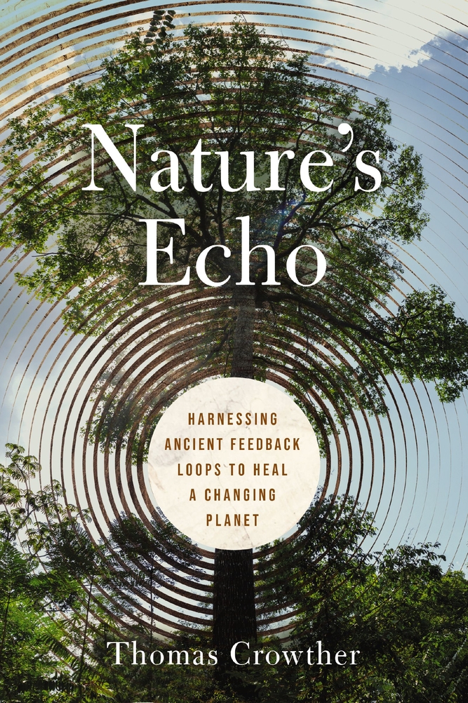 Nature's Echo: Harnessing Ancient Feedback Loops to Heal a Changing Planet cover