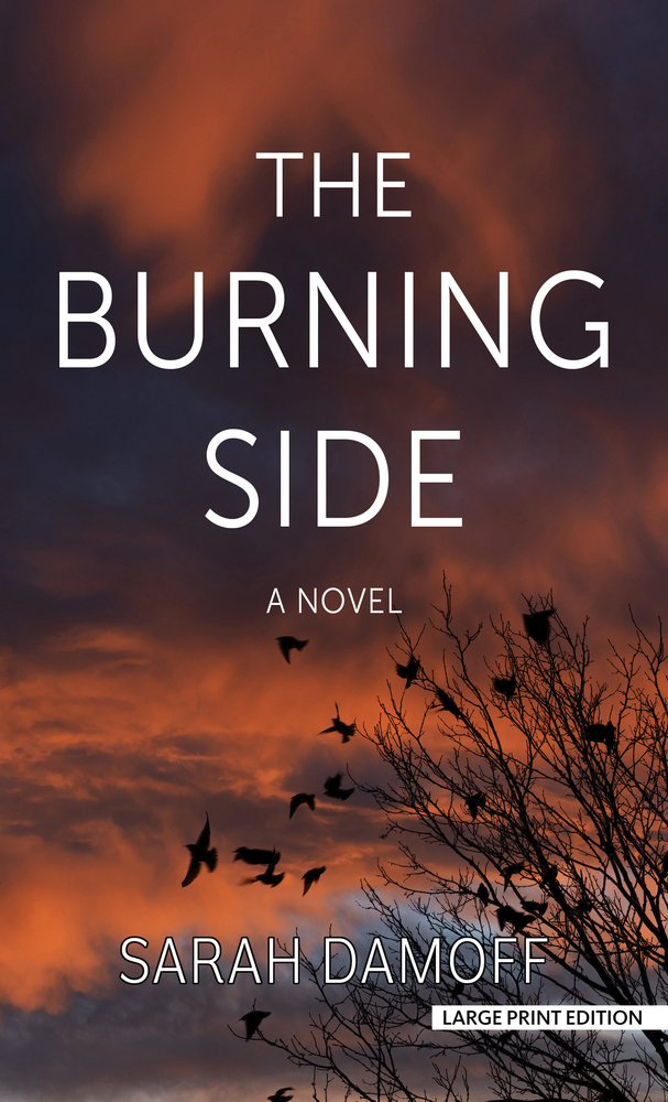The Burning Side cover