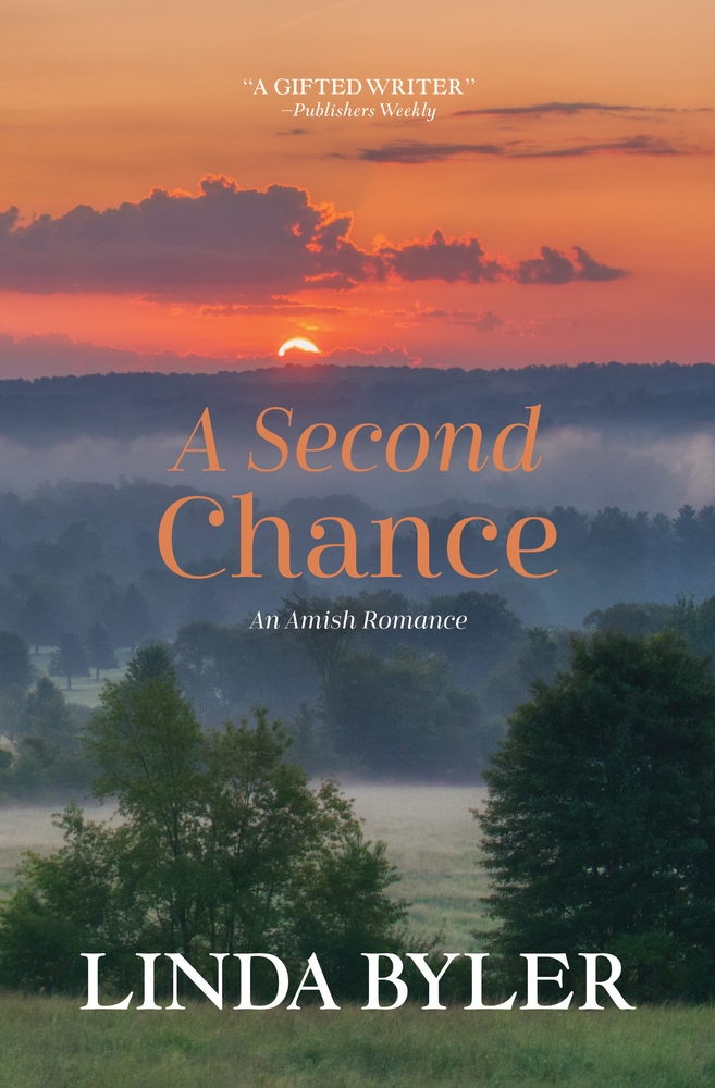 A Second Chance: An Amish Romance cover
