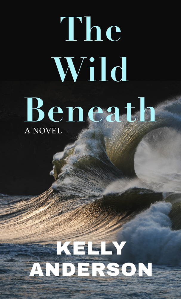 The Wild Beneath: Reese's Book Club Pick (a Novel) cover