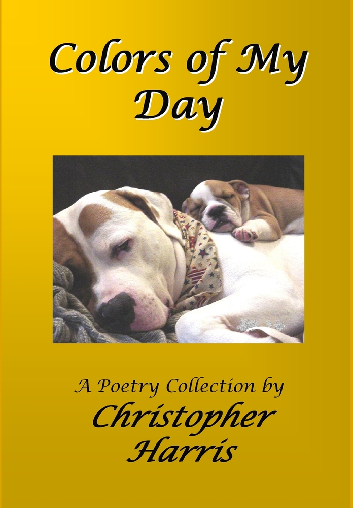 Colors of My Day cover