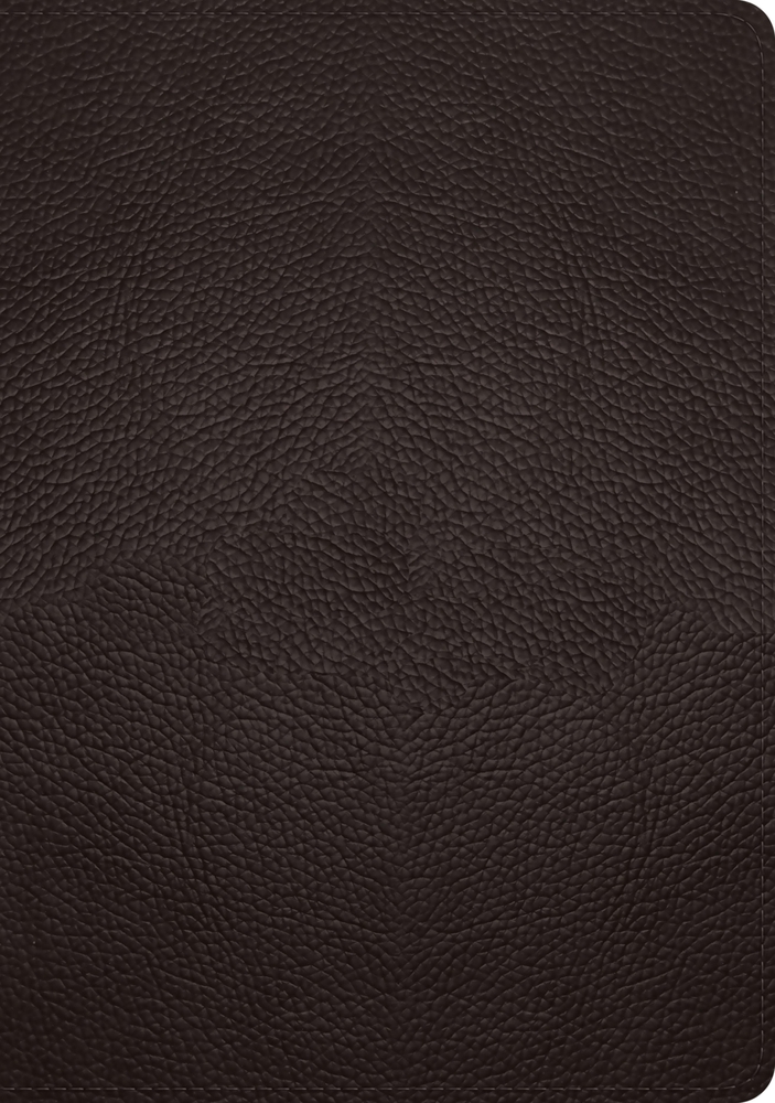 ESV Study Bible (Buffalo Leather, Deep Brown) cover