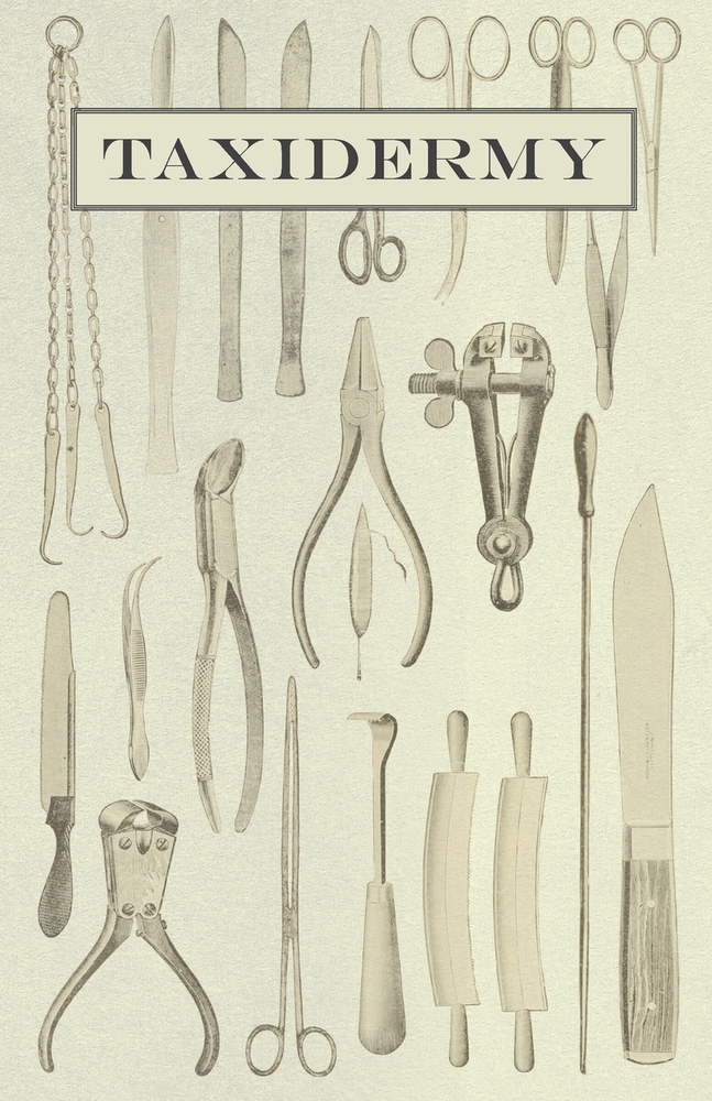 Taxidermy cover