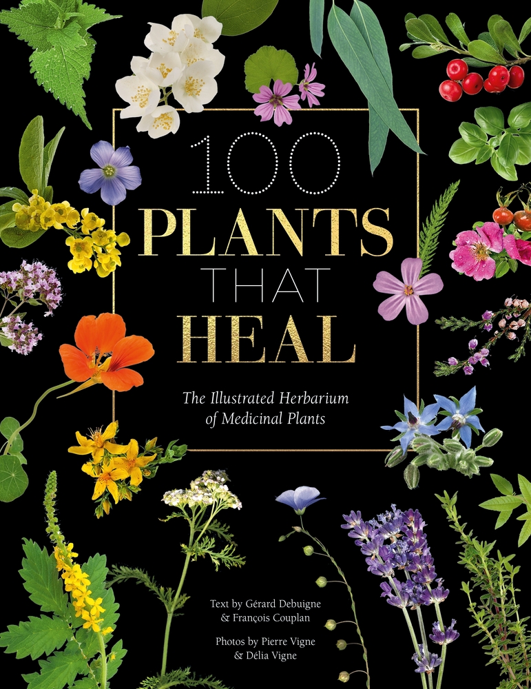 100 Plants That Heal: The Illustrated Herbarium of Medicinal Plants cover