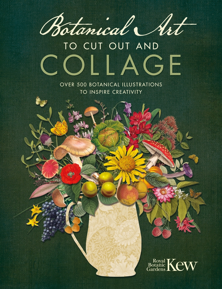 Botanical Art to Cut Out and Collage: Over 500 Botanical Illustrations to Inspire Creativity cover