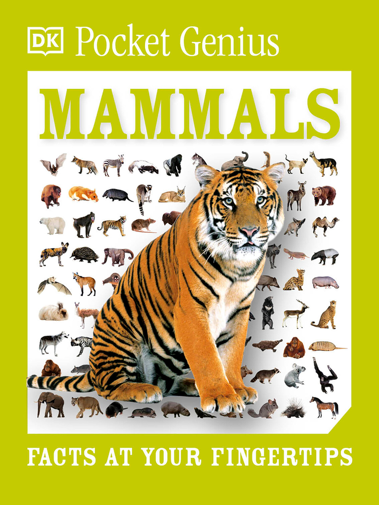 Pocket Genius Mammals: Facts at Your Fingertips cover