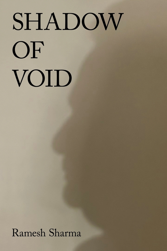 Shadow of Void cover