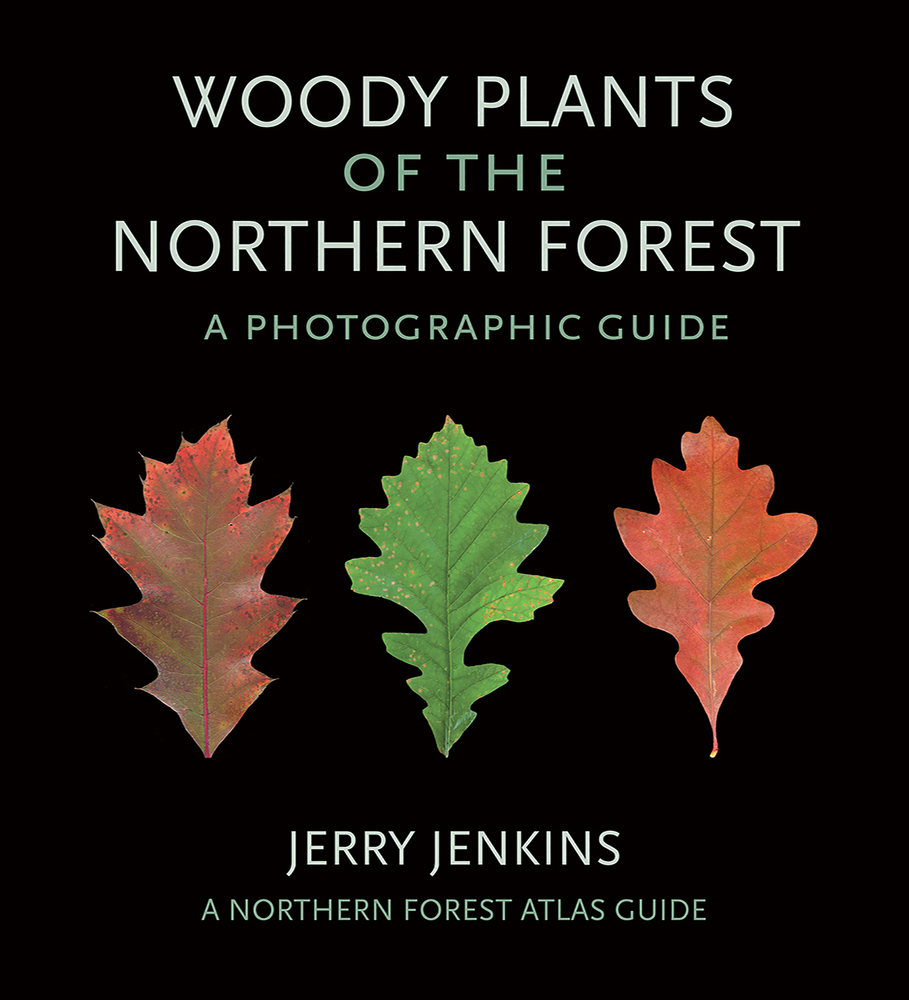 Woody Plants of the Northern Forest: A Photographic Guide cover