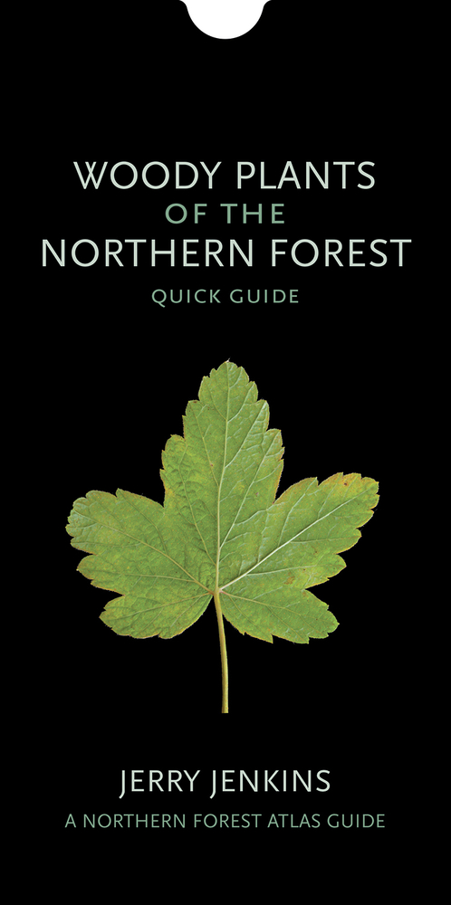 Woody Plants of the Northern Forest: A Photographic Guide cover