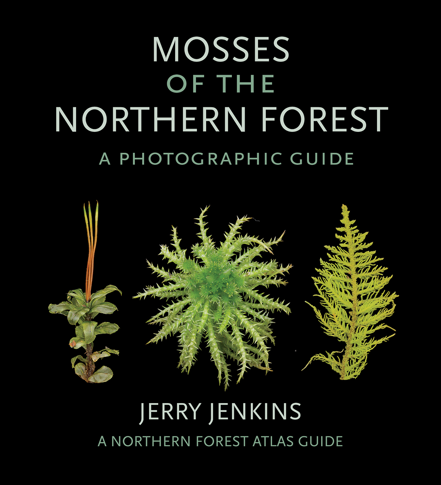 Mosses of the Northern Forest: A Photographic Guide cover