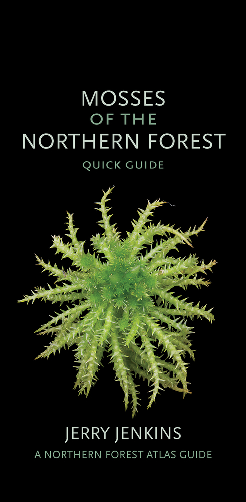 Mosses of the Northern Forest: A Photographic Guide cover