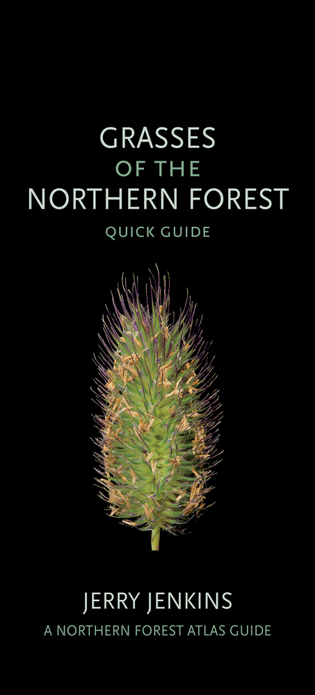 Grasses of the Northern Forest: Quick Guide cover