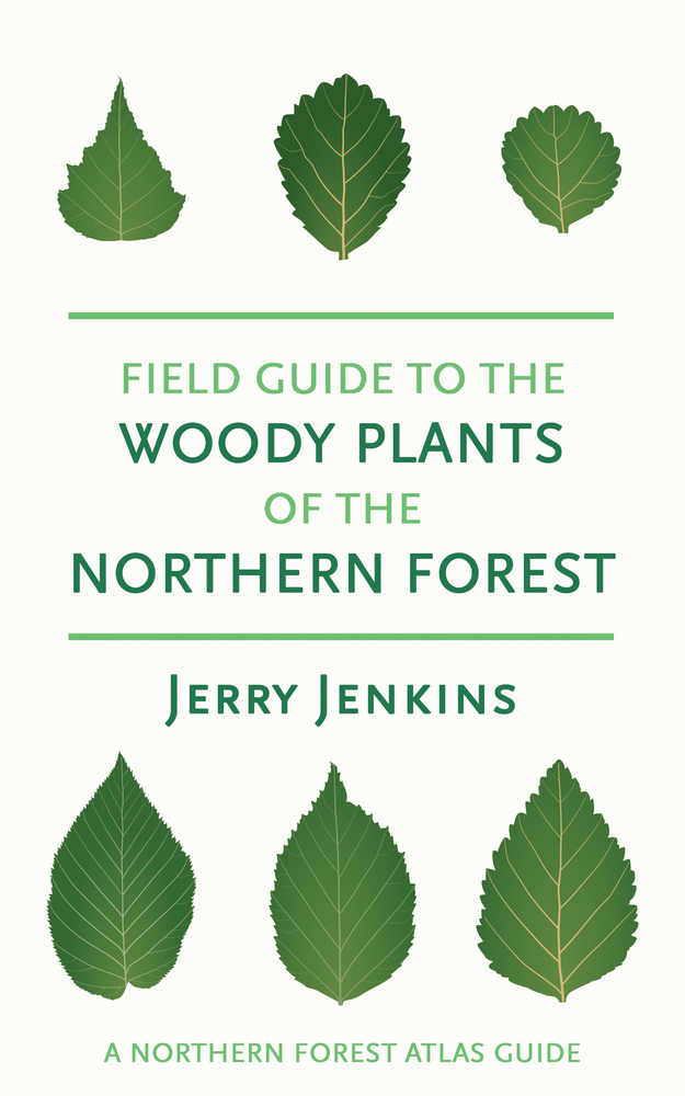 Field Guide to the Woody Plants of the Northern Forest cover