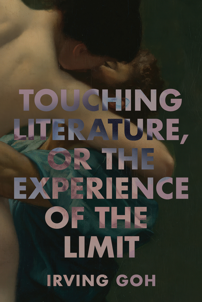 Touching Literature, or the Experience of the Limit cover