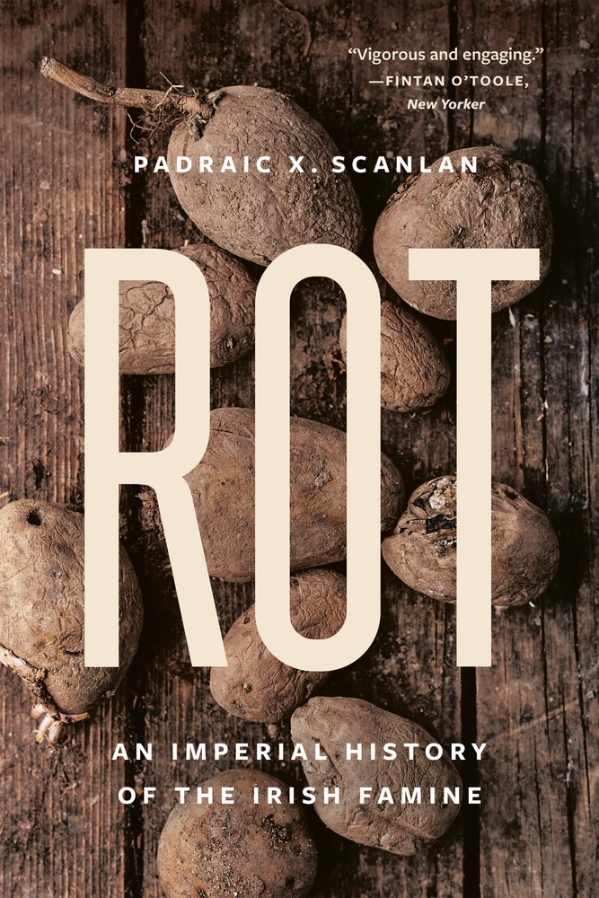 Rot: An Imperial History of the Irish Famine cover