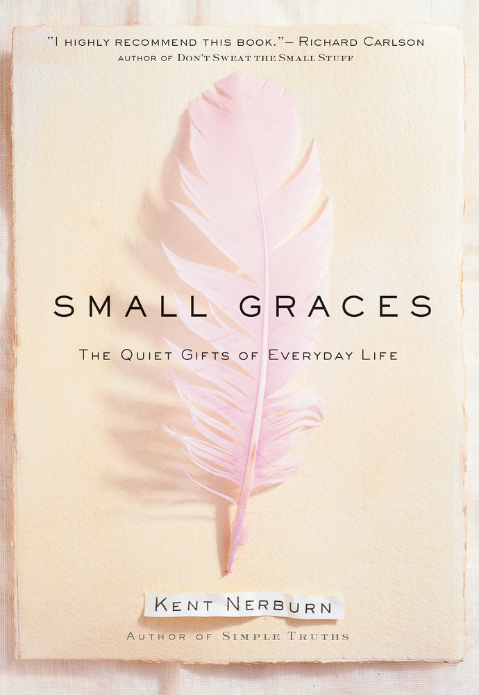 Small Graces: A Celebration of the Ordinary: Sacred Moments That Illuminate Our Lives cover