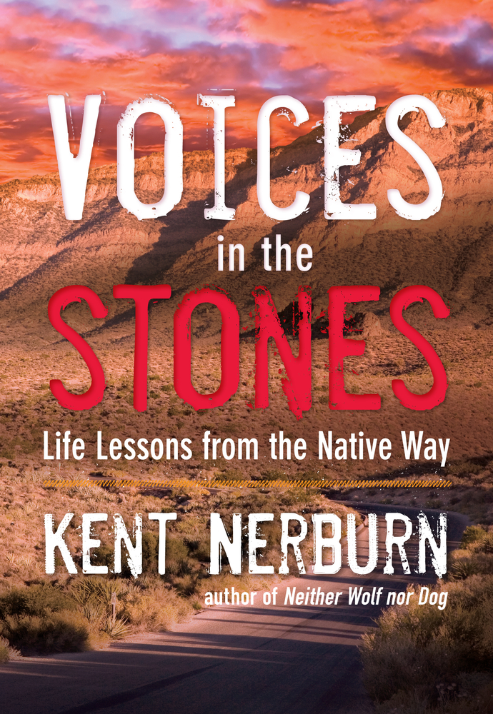 Voices in the Stones: Life Lessons from the Native Way cover